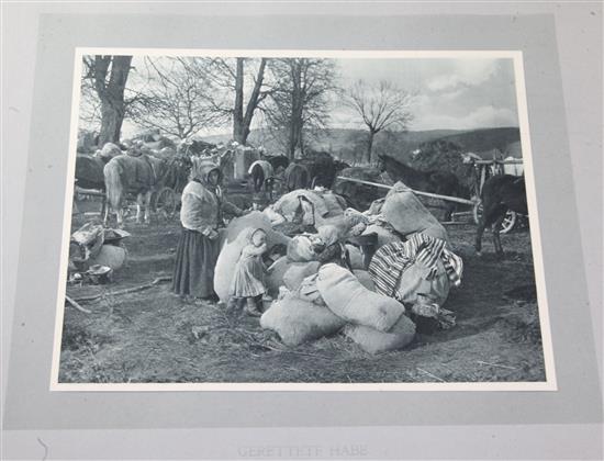 WWI interest: Osterreich Ungarn in Waffen,